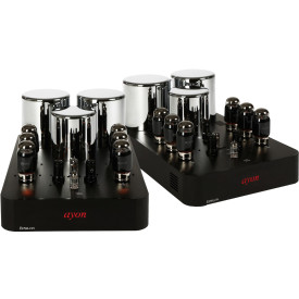 Ayon Audio Epsilon Evo Mono Black