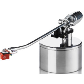 Acoustic Solid WTB 313 12“