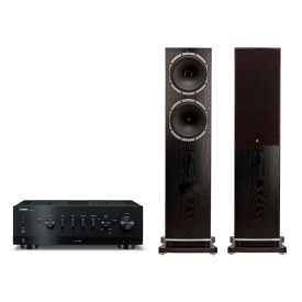 Yamaha R-N800A + Fyne Audio F502