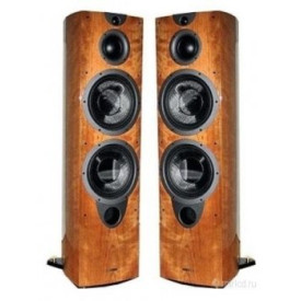 Wharfedale Evo-2 50 Cherry