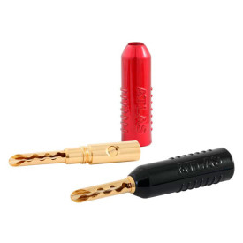Atlas Achromatic Gold Z plug screw