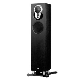 LINN Exakt Akubarik Black Ash