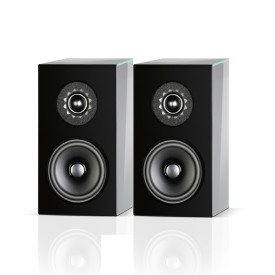Audio Physic Classic Compact Grey Brown