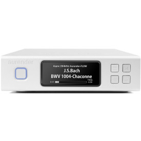 Aurender N100H - 2Tb SIlver