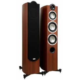 Taga Harmony Platinum F-100 v.3 WALNUT