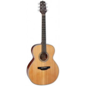 TAKAMINE GN20 NS
