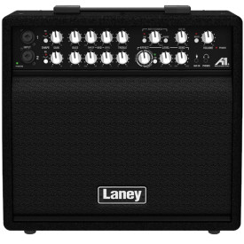 Laney A1+