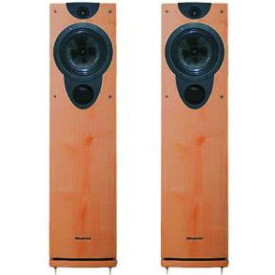 Wharfedale Evo-2 20 Cherry