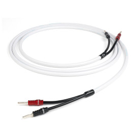 CHORD C-screenX CUSTOM Speaker Cable 2 5 m pair