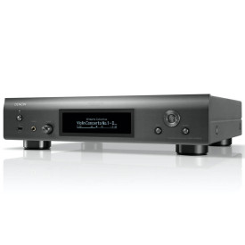 Denon DNP-2000NE Silver Graphite