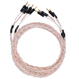 Kimber Kable 4 TC - 500 F + ATLAS Z Gold 2 x 2.5м