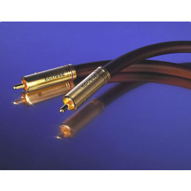 Ecosse The Conductor 0,5m