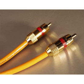 Ecosse The Director RCA 1m