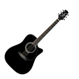 TAKAMINE EF341SC