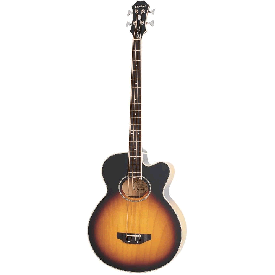 EPIPHONE EL CAPITAN IV C