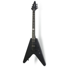 Epiphone Jeff Waters ANNIHILATION Flying-V PB