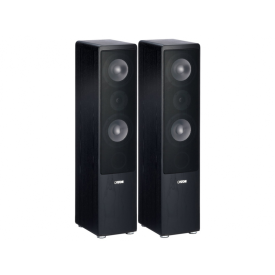 Canton Ergo 670 DC Black Ash