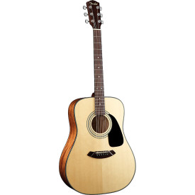 Fender CD100 NT