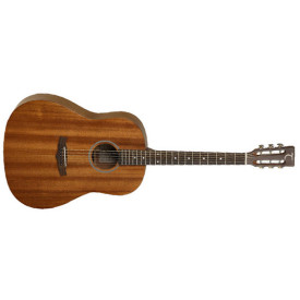 Tanglewood TW138 ASM SD