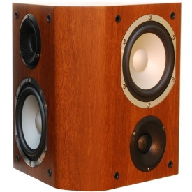 Taga Harmony Platinum S-100 WALNUT