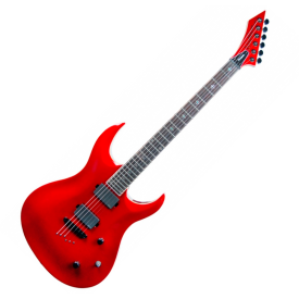Washburn WM24PRO EMRK
