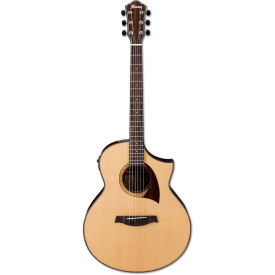 IBANEZ AEW22CD NT