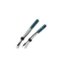 Atlas Asimi Ultra (RCA-RCA) 1.00 m