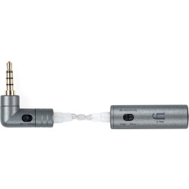 iFi iEMatch + Silver