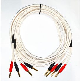 DALI CONNECT SC F222C + Z Gold plugs 2 x 2.5 м