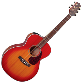 TAKAMINE EG430S-VV