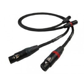 CHORD Signature Tuned ARAY 2XLR to 2XLR 1m