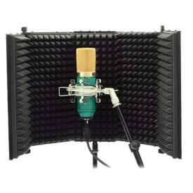 Marshall Electronics MXL RF-100