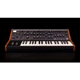 MOOG SUBSEQUENT 37