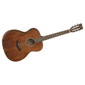 Tanglewood TW130 ASM OM