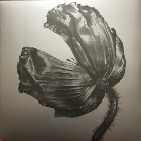 PET SHOP BOYS – RELEASE 2002/2017 (0190295944049, 180 gm.) WARNER/EU MINT (0190295944049)