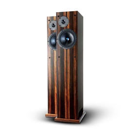 ProAc Response D20 Ebony