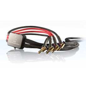 AVID ASC Banana (2m)