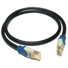 Straight Wire ConX CHE (CHE020) 2м