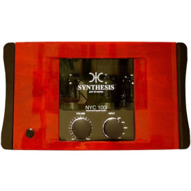 SYNTHESIS Metropolis NYC100i