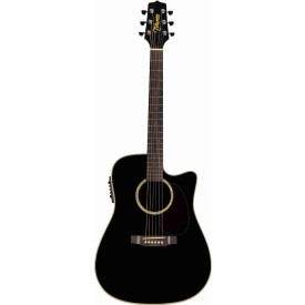 TAKAMINE EG531SSC