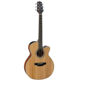 TAKAMINE GN20CE NS