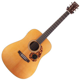Tanglewood TW40 D AN