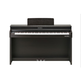 Kurzweil CUP310 SR