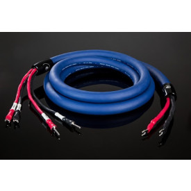 Cardas Clear Beyond 2 х 2.5m pair Bi - Wire (Bananas)