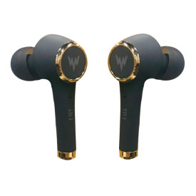 Whizzer TWS-TP1 Grey