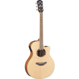 TAKAMINE G320