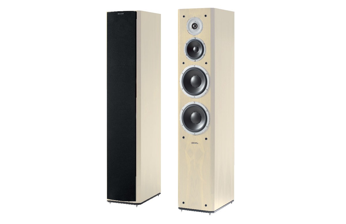 Dynaudio Focus 380 Maple