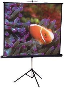 AV Screen 3V060MTS(1:1)Matte White