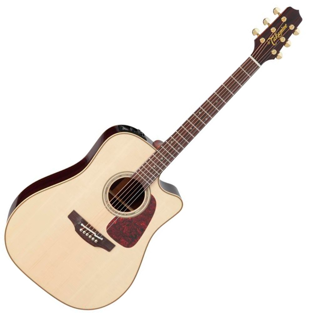 TAKAMINE P5DC