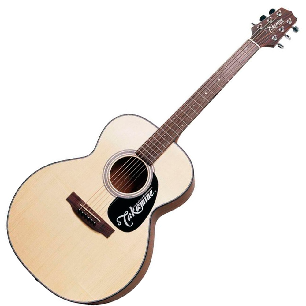 TAKAMINE G220